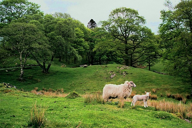 Lake District